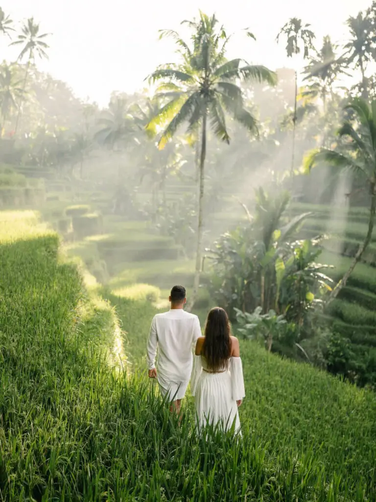 Tegallalang Rice Terraces
